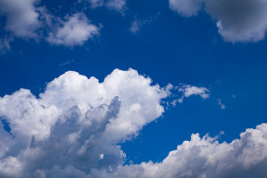 Similar image 22154510