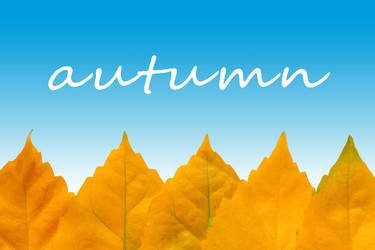 Similar image 22154941