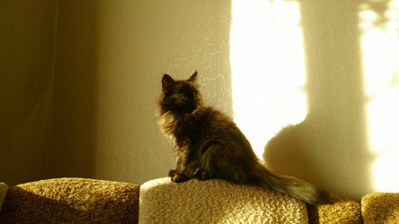 Similar image 22148811