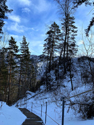 Similar image 22147643