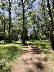 Similar image 22140887