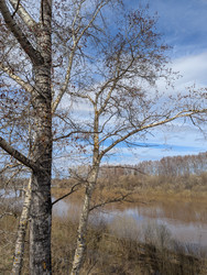 Similar image 22141293