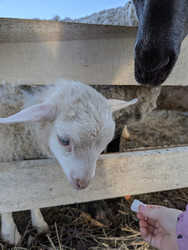 Similar image 22141294