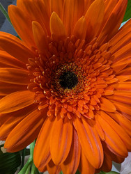 Similar image 22141296