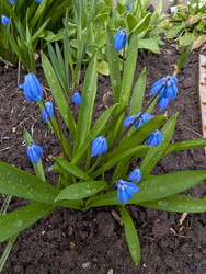 Similar image 22141298