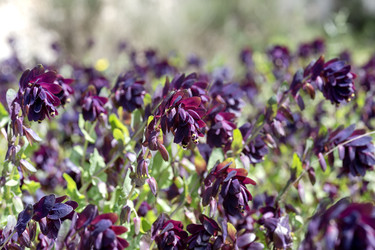 Similar image 22140068