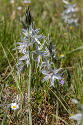 Similar image 22140072