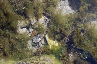 Similar image 22140075