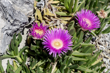 Similar image 22140076