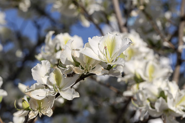 Similar image 22140079