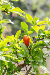 Similar image 22140080