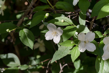 Similar image 22140084