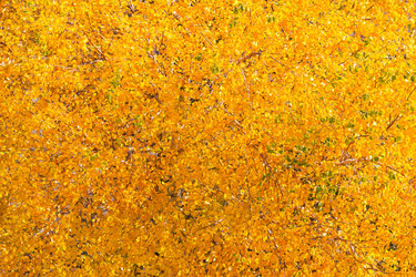 Similar image 22142100