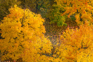 Similar image 22154520