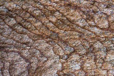 Similar image 22154521