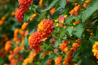 Similar image 22140113