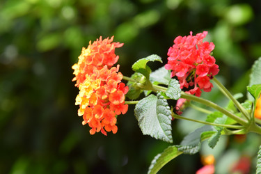 Similar image 22140114