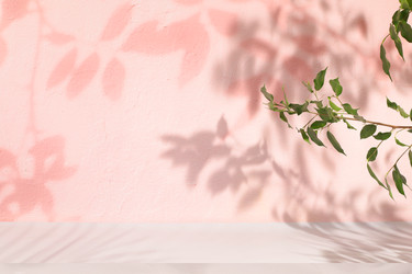 Similar image 22140135