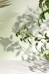 Similar image 22140137