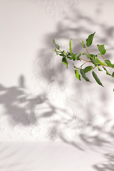 Similar image 22140142