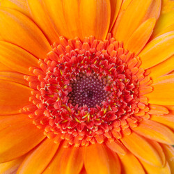 Similar image 22154525