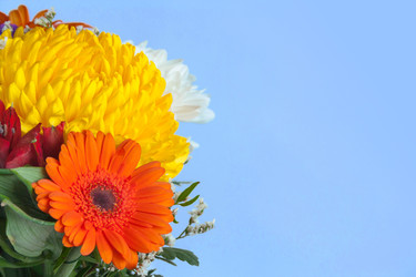 Similar image 22154945