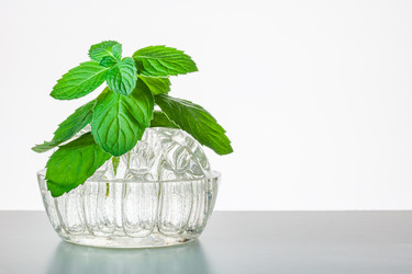 Similar image 22155032