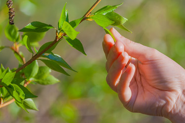 Similar image 22140838