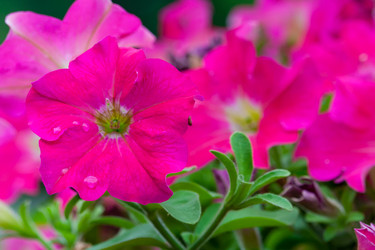 Similar image 22142144