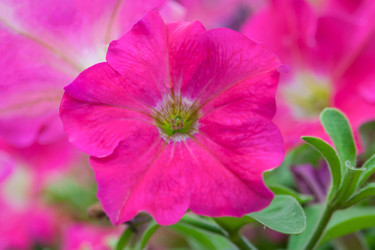 Similar image 22142146