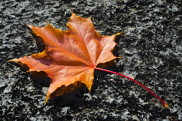 Similar image 22142163