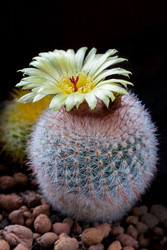 Similar image 22142165