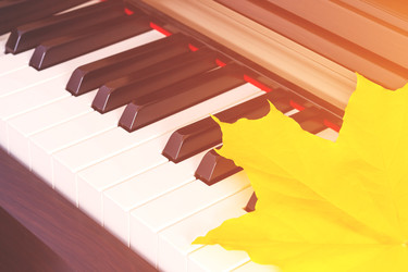 Similar image 22142171