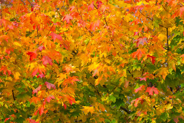 Similar image 22142173