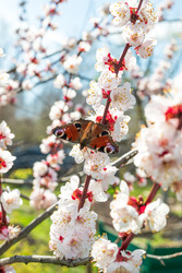 Similar image 22140396