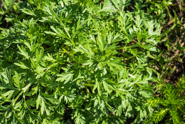 Similar image 22140397