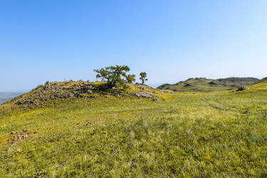 Similar image 22144032