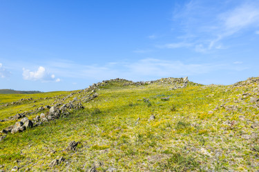 Similar image 22144033