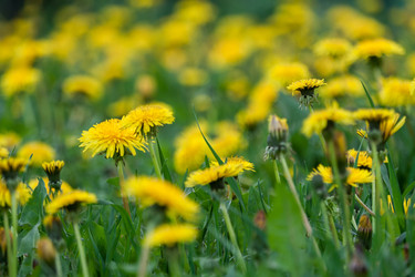 Similar image 22142193