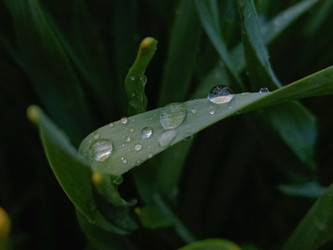 Similar image 22140892