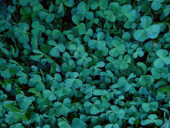 Similar image 22140893