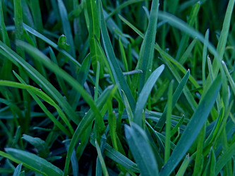 Similar image 22140894