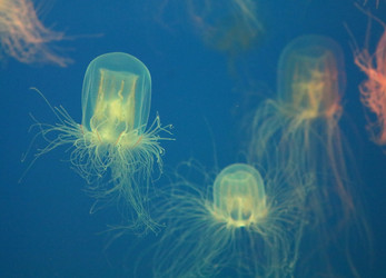 Similar image 22140844