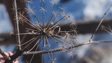 Similar image 22140845