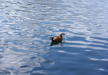 Similar image 22141307