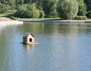 Similar image 22141311