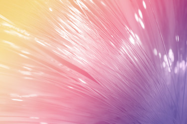 Similar image 22140895