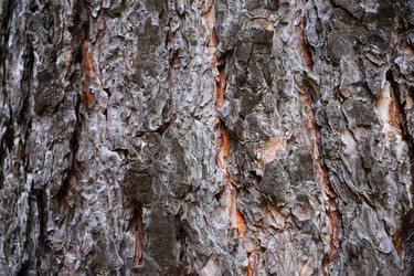 Similar image 22140896