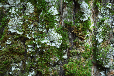 Similar image 22140897