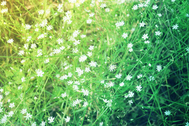 Similar image 22140901